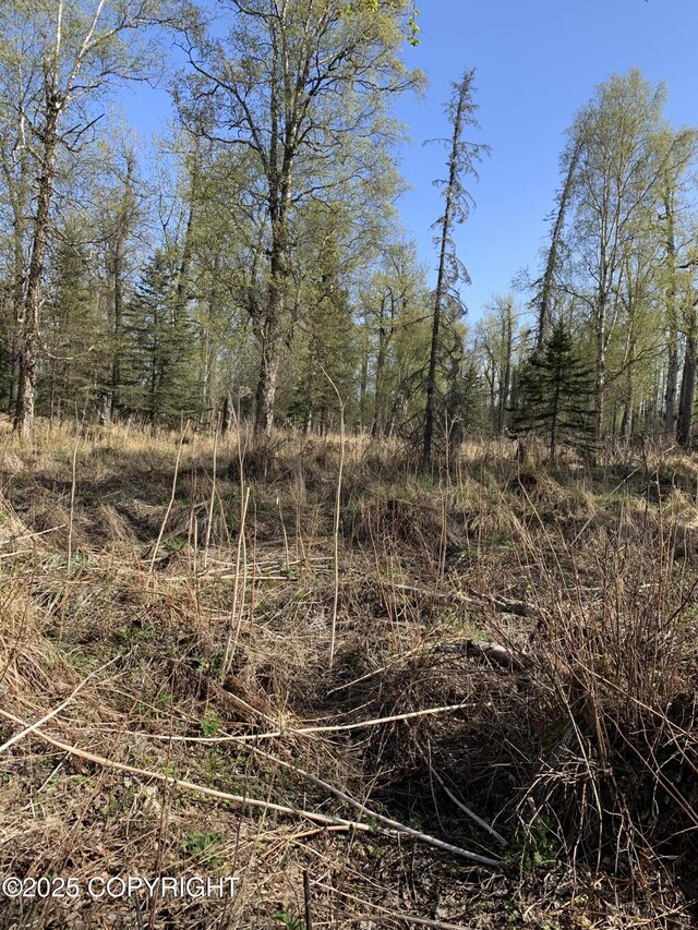 8126 N Wasilla Fishhook Rd, Wasilla, AK 99654 - photo 23