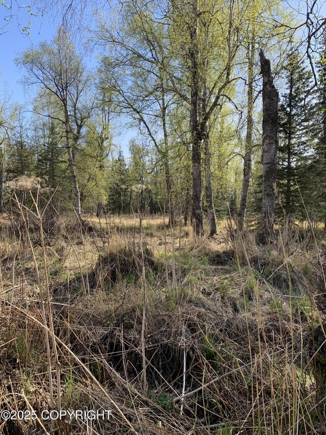 8126 N Wasilla Fishhook Rd, Wasilla, AK 99654 - photo 24