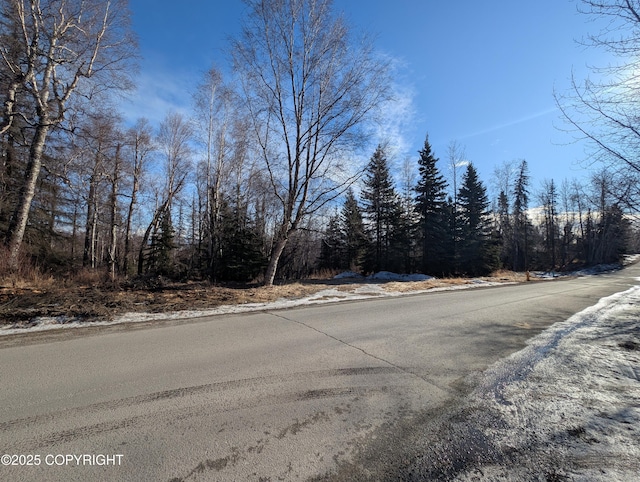 000 Blackberry St, Anchorage AK, 99502 land for sale