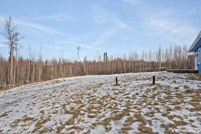 view of yard layered in snow