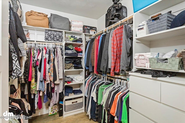 spacious closet with wood finished floors