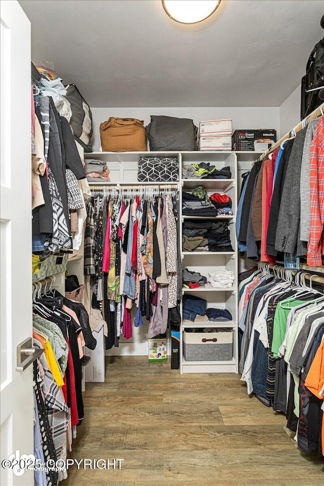 walk in closet with wood finished floors