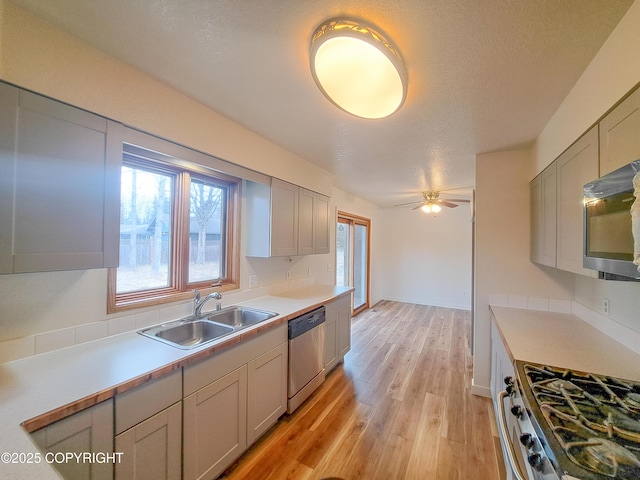 kitchen with stainless steel appliances, a sink, light countertops, and light wood-style floors