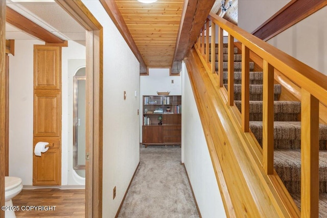 staircase with carpet floors and wooden ceiling