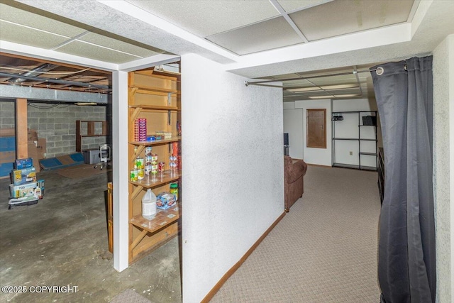 unfinished below grade area featuring a drop ceiling and concrete block wall