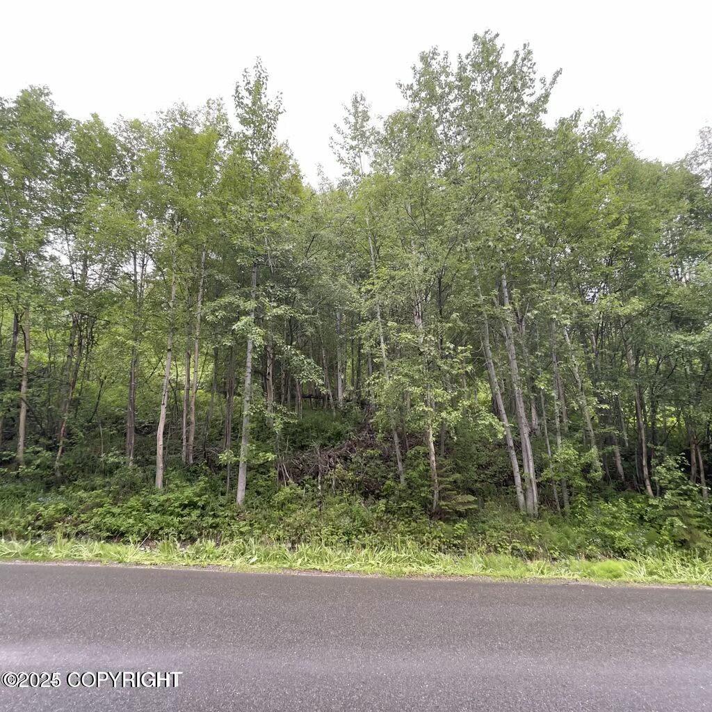 L12 White Spruce Dr, Eagle River, AK 99577