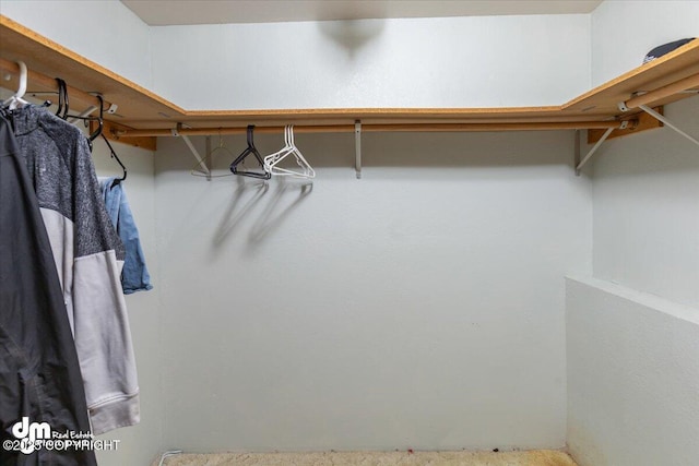 view of spacious closet