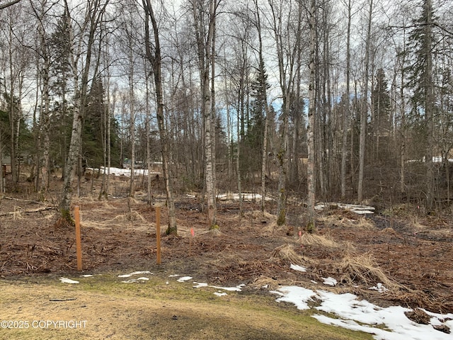view of nature