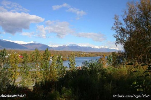 1000 E Susitna Ave, Wasilla AK, 99654 land for sale