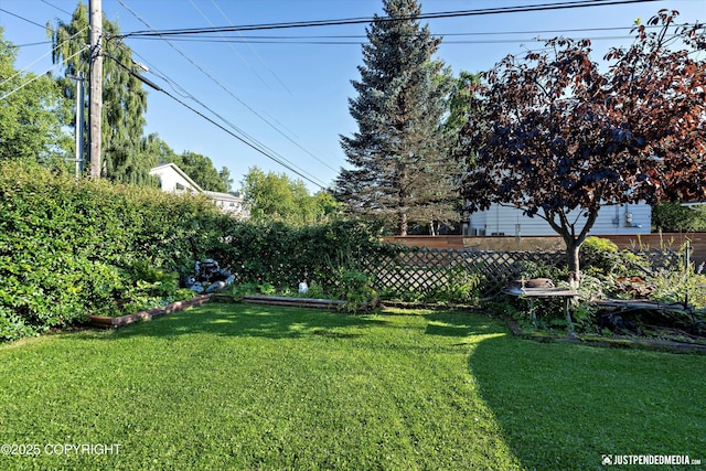 view of yard with fence