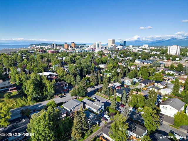 bird's eye view with a view of city