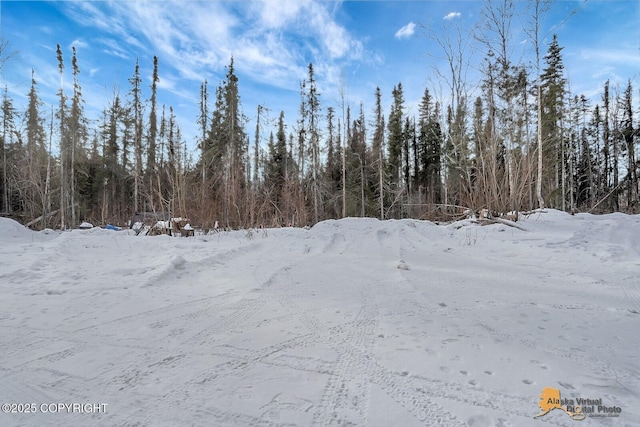 view of snow covered land