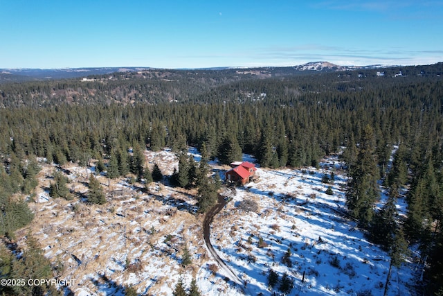 drone / aerial view with a view of trees and a mountain view