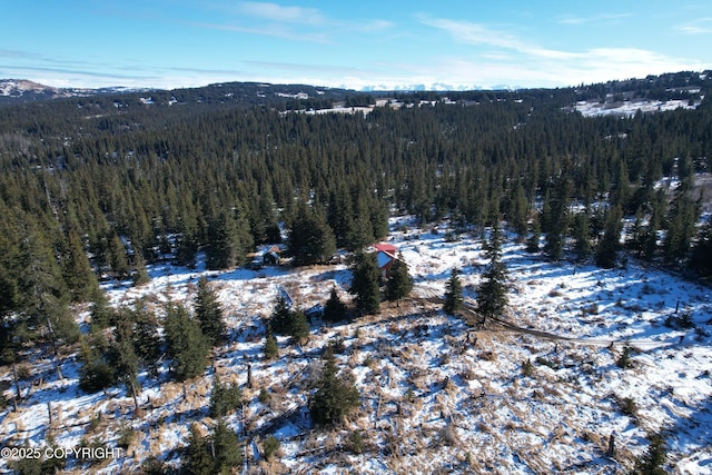 snowy aerial view with a view of trees