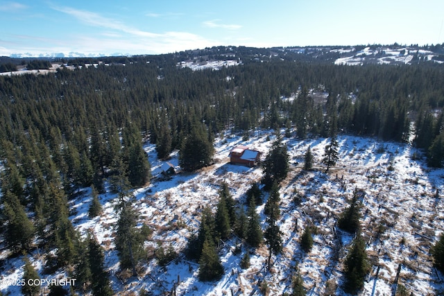 snowy aerial view featuring a view of trees