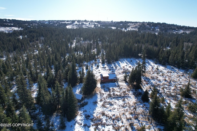 drone / aerial view featuring a forest view