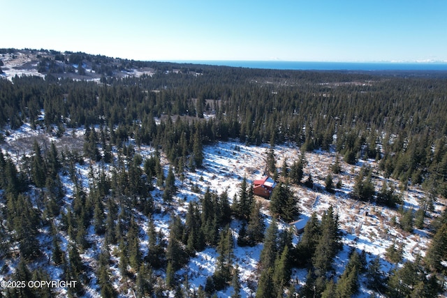 bird's eye view with a forest view