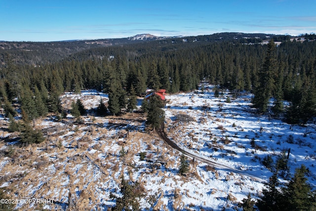 snowy aerial view featuring a mountain view and a wooded view