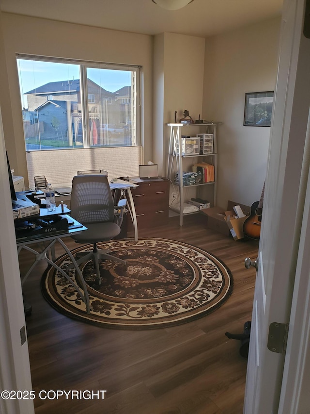 office area featuring wood finished floors