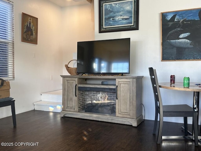 living room featuring a fireplace and dark wood finished floors