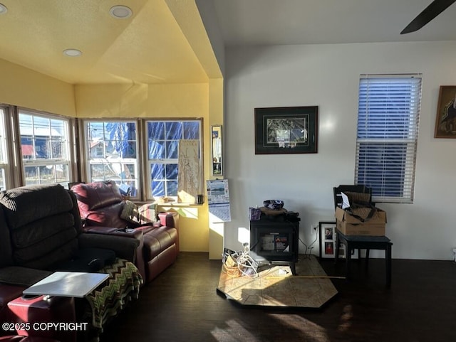 living area featuring a ceiling fan and wood finished floors