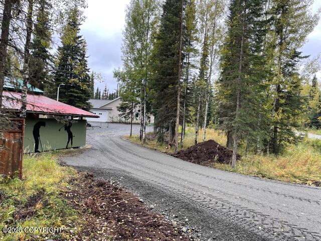 view of street with driveway