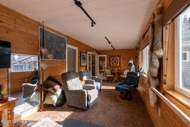 sunroom / solarium with rail lighting