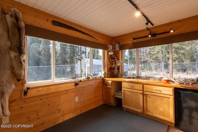 unfurnished sunroom with track lighting and built in study area