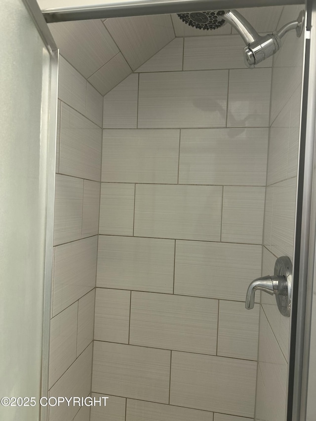 room details with tiled shower