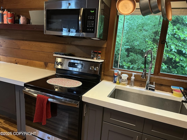 kitchen with light countertops, appliances with stainless steel finishes, plenty of natural light, and a sink