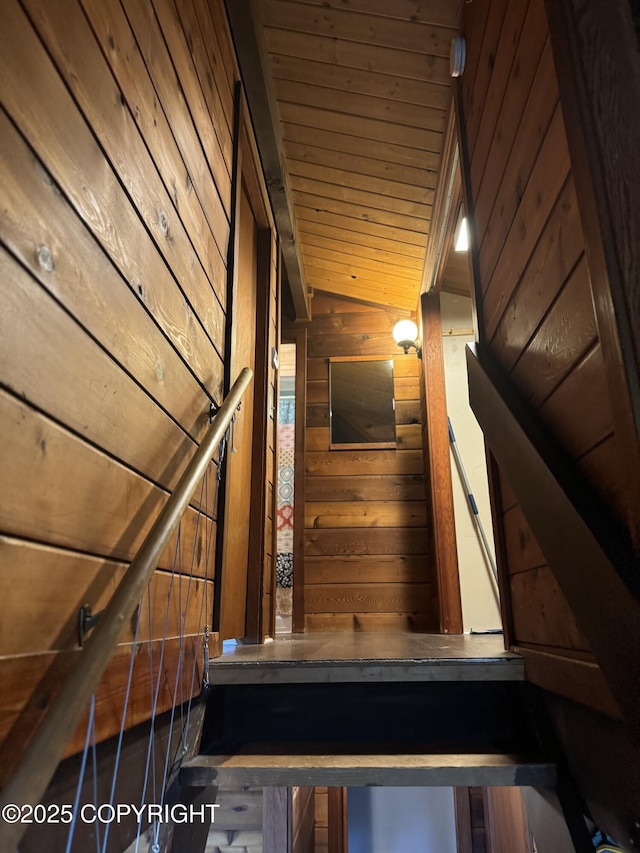 staircase featuring wooden ceiling and wooden walls