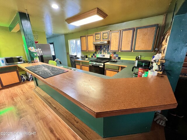 kitchen with under cabinet range hood, stainless steel appliances, a peninsula, a sink, and light wood-type flooring