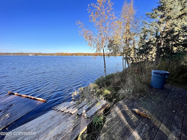 dock area with a water view