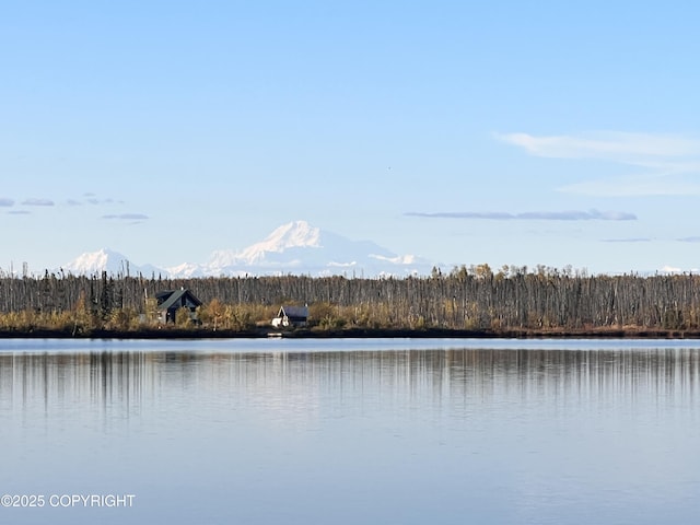 property view of water with a mountain view and a view of trees