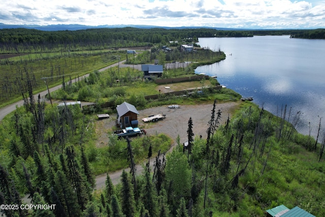 bird's eye view with a water view and a wooded view