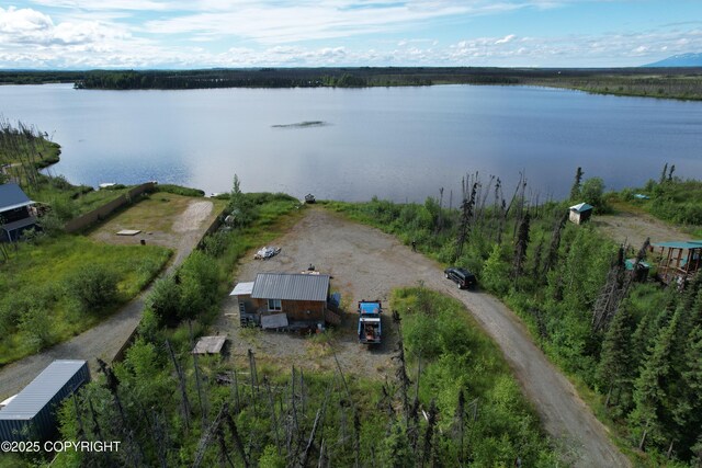 bird's eye view featuring a water view