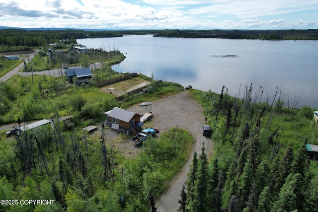 drone / aerial view with a forest view and a water view