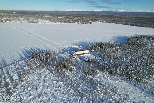 snowy aerial view featuring a mountain view