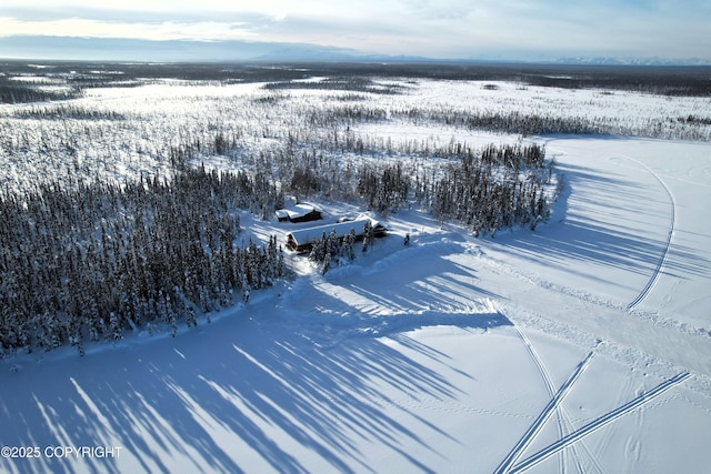 view of snowy aerial view