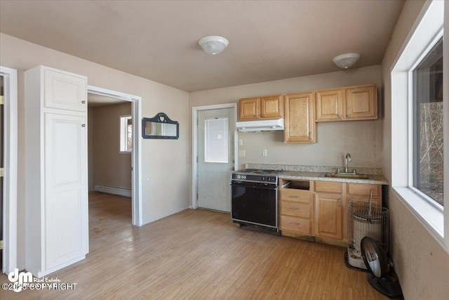 kitchen featuring a sink, a baseboard radiator, light wood-style floors, a healthy amount of sunlight, and under cabinet range hood