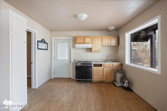 kitchen with light brown cabinets, light countertops, under cabinet range hood, light wood finished floors, and stove