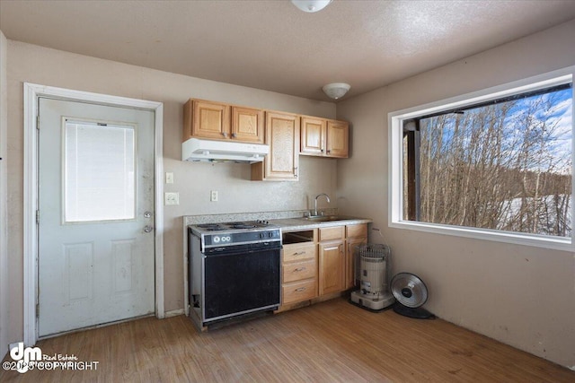 kitchen with light wood-type flooring, light countertops, under cabinet range hood, range with electric stovetop, and a sink