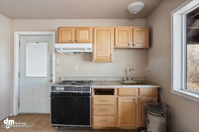 kitchen featuring a sink, light countertops, black electric range oven, under cabinet range hood, and light wood-style flooring