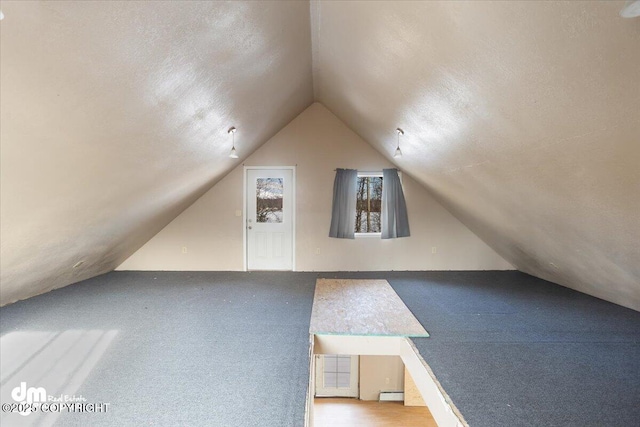 additional living space featuring carpet flooring and lofted ceiling