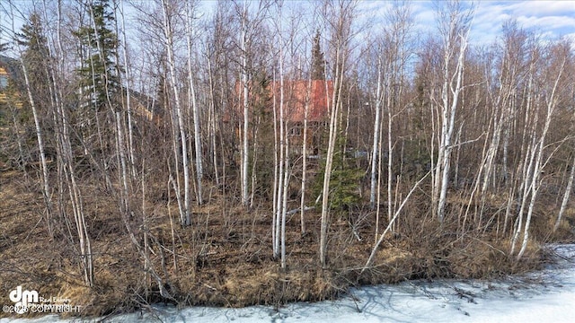 view of nature