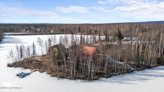 snowy aerial view featuring a view of trees