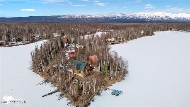 snowy aerial view featuring a view of trees and a mountain view