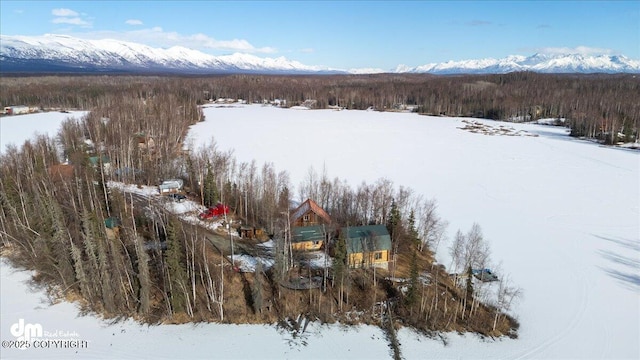 snowy aerial view featuring a view of trees and a mountain view