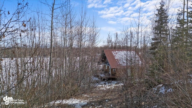 view of property exterior featuring metal roof