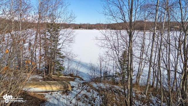 water view